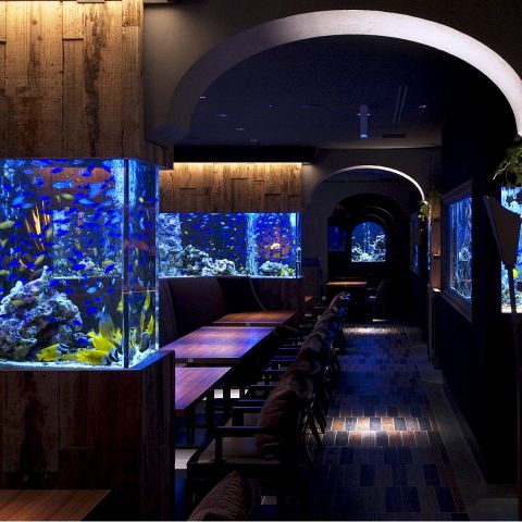 9 25 土 18時開始 大阪ミナミ水族館レストラン交流パーティーイベント一万匹の熱帯魚がお出迎え 心斎橋ライム交流企画 幻想的なアクアリウム空間で素敵な出会い おものみ関西